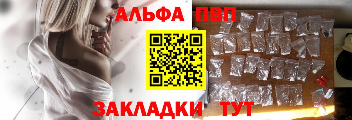 А ПВП крисы CK  APVP СК  A PVP мука  Камень-на-Оби  Вход с VPN 