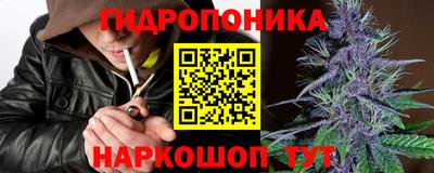 прущие крисы Кулебаки