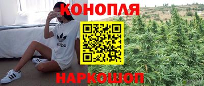 прущие крисы Кулебаки