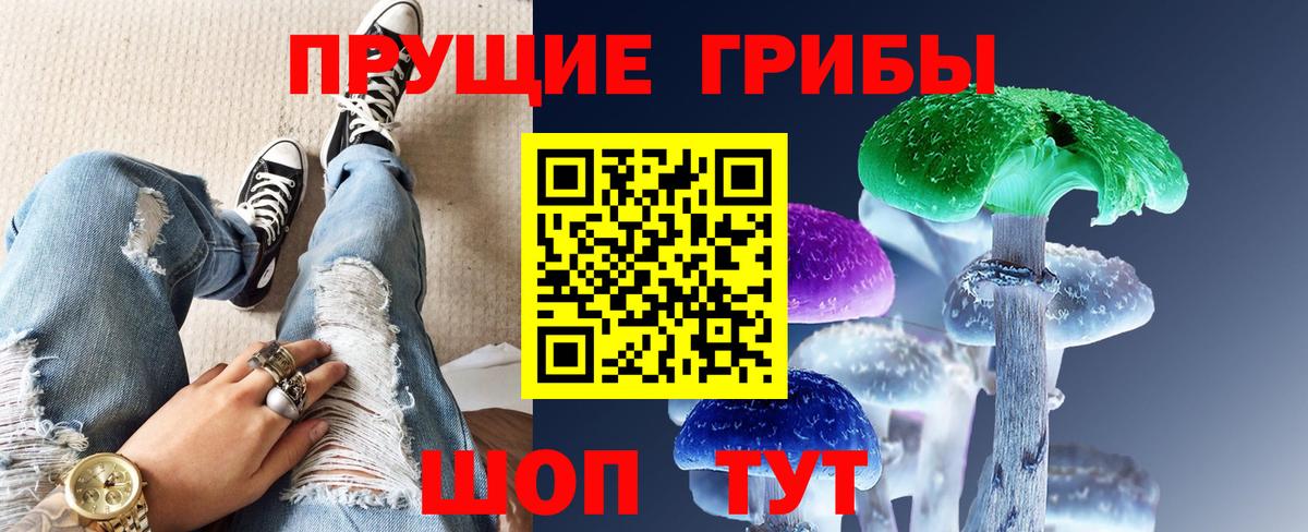 Галлюциногенные грибы ЛСД Камень-на-Оби
