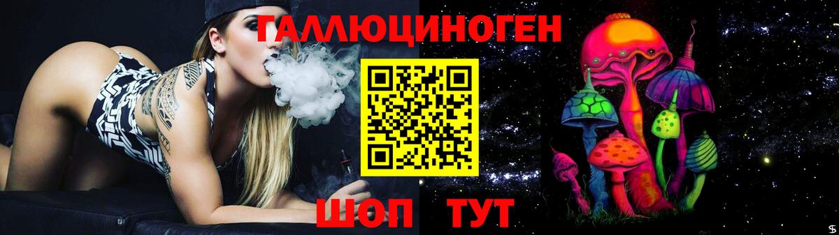 Камень-на-Оби  Галлюциногенные грибы прущие грибы  Вход с VPN 